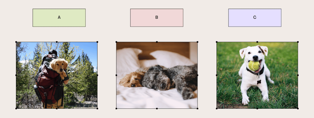 Quiz sur la personnalité des chiens avec trois choix : un chiot aventureux en randonnée, un chien câlin qui dort et un chiot joueur avec une balle de tennis. Trouvez le prénom parfait et personnalisez une médaille pour chien avec gravure.